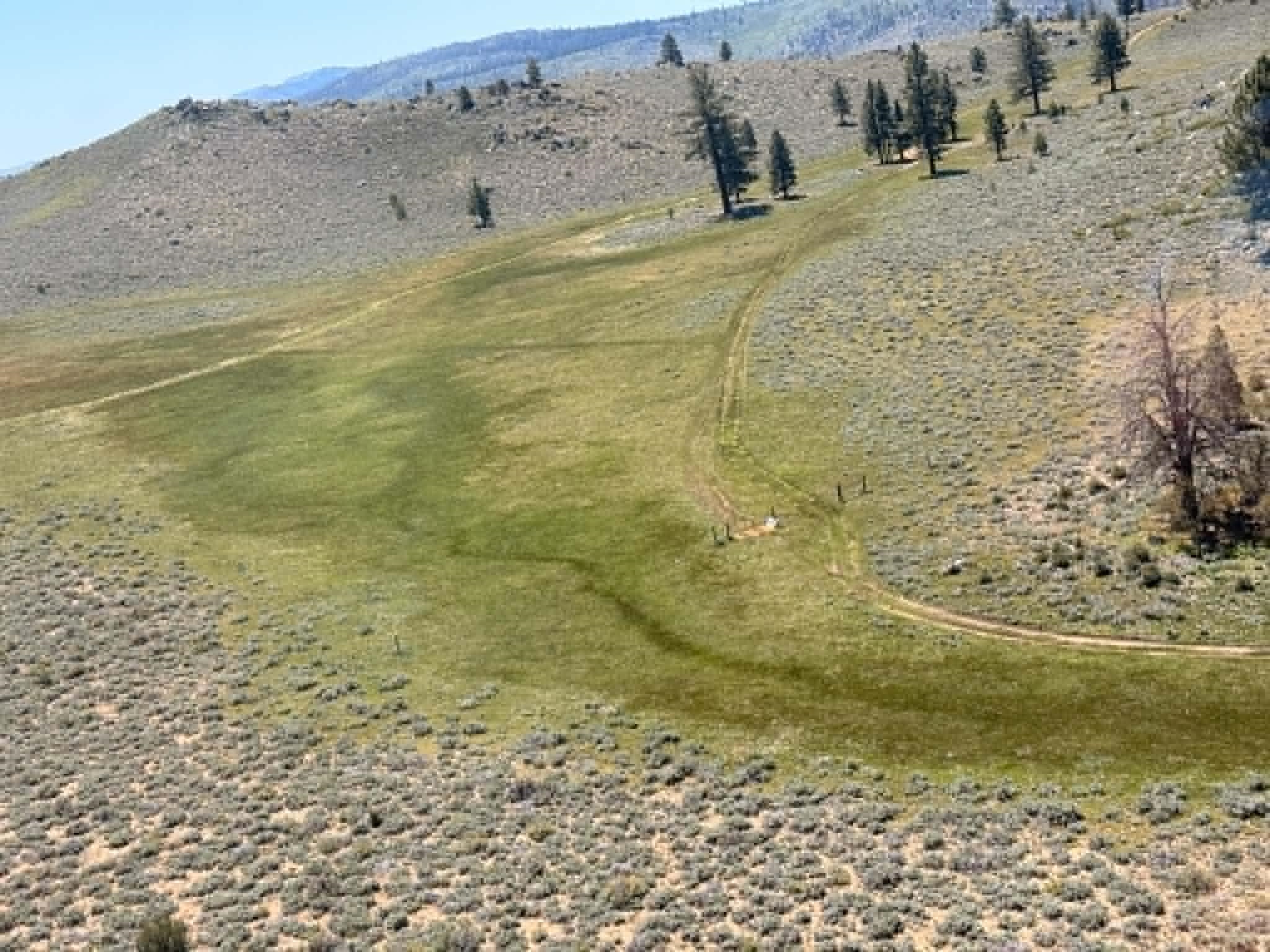 Xxxx Doyle Grade Road Doyle, CA 96109 - Photo 2 of 10