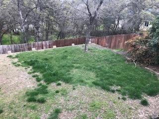 1463 Ridge Drive Redding, CA 96001 - Photo 7 of 27 IMG_8855