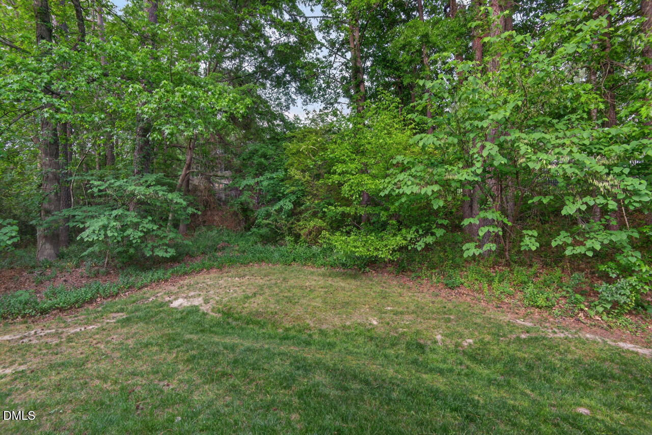 3307 Coachman's Way Durham, NC 27705 - Photo 49 of 50 a view of a lush green space