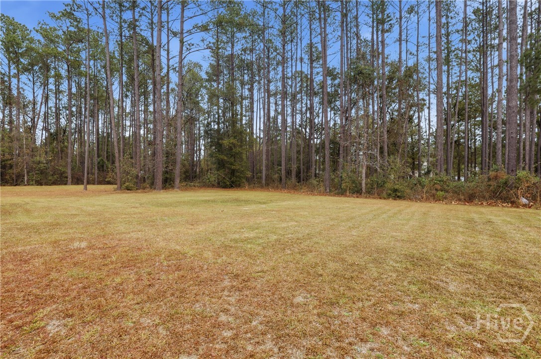 25 Frank Edwards Road Ellabell, GA 31308 - Photo 27 of 31