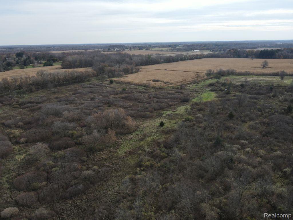 0 Reek Road Imlay City, MI 48444 - Photo 4 of 19