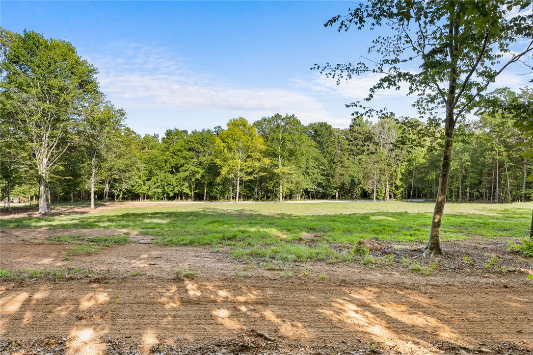 75 Hidden Acres Trail Pelzer, SC 29669 - Photo 18 of 32