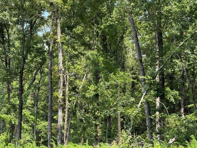 0 Marsalis Road Arcadia, LA 71001 - Photo 14 of 16