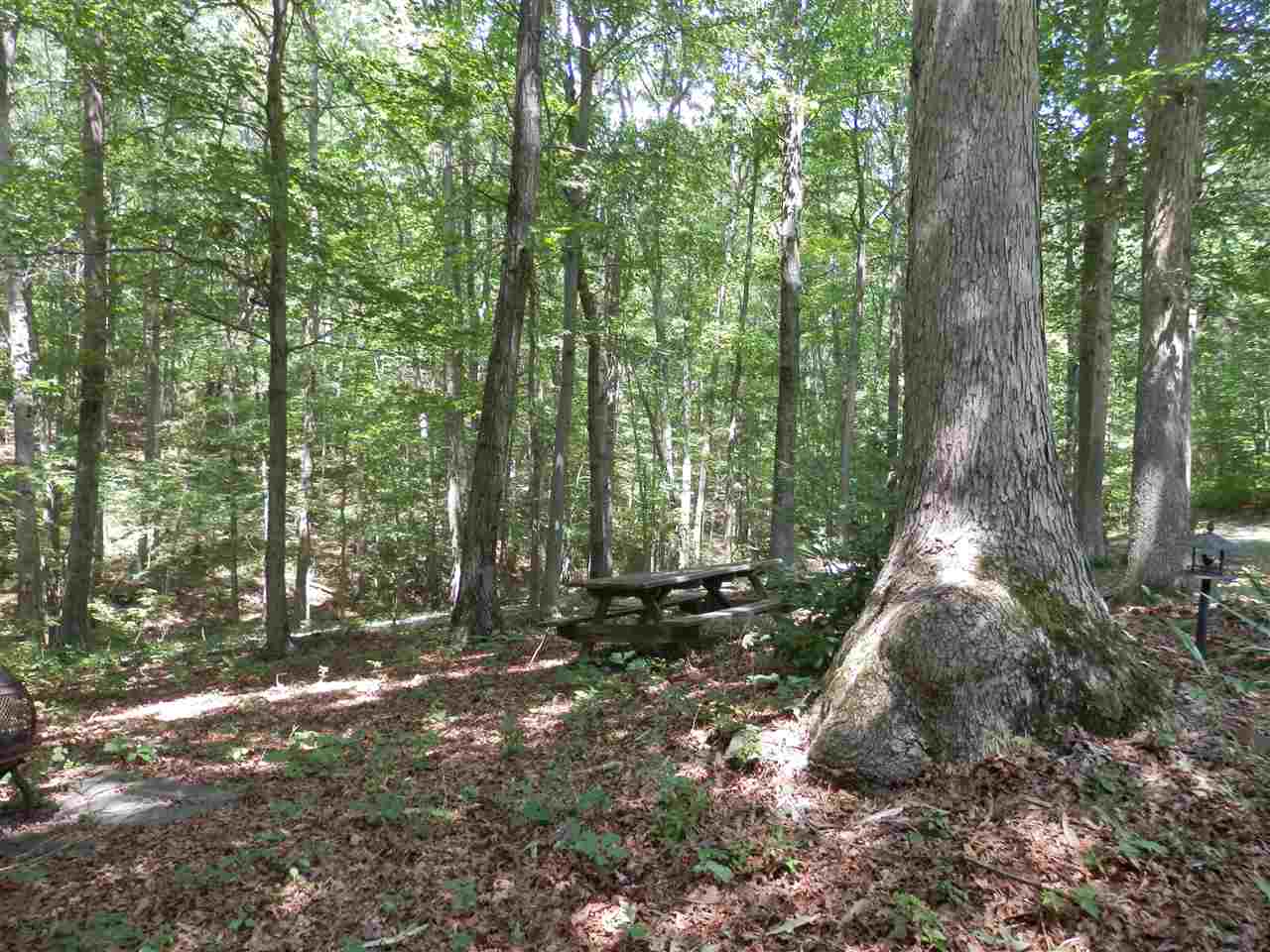 356 Flat Rock Road Waynesboro, VA 22980 - Photo 21 of 24 Gallery Image 21