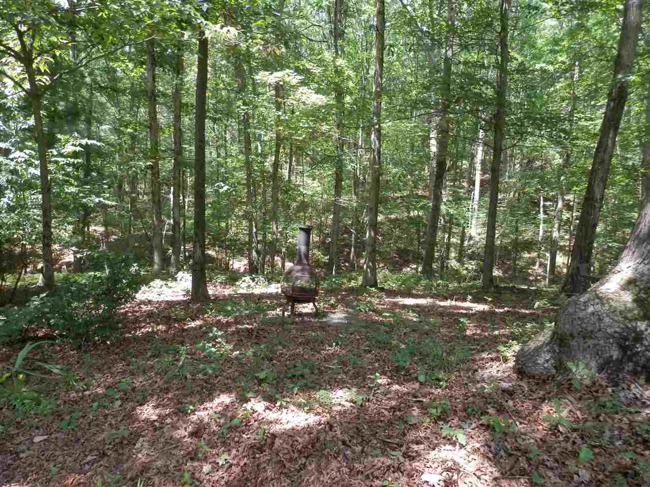 356 Flat Rock Road Waynesboro, VA 22980 - Photo 23 of 24 Gallery Image 23