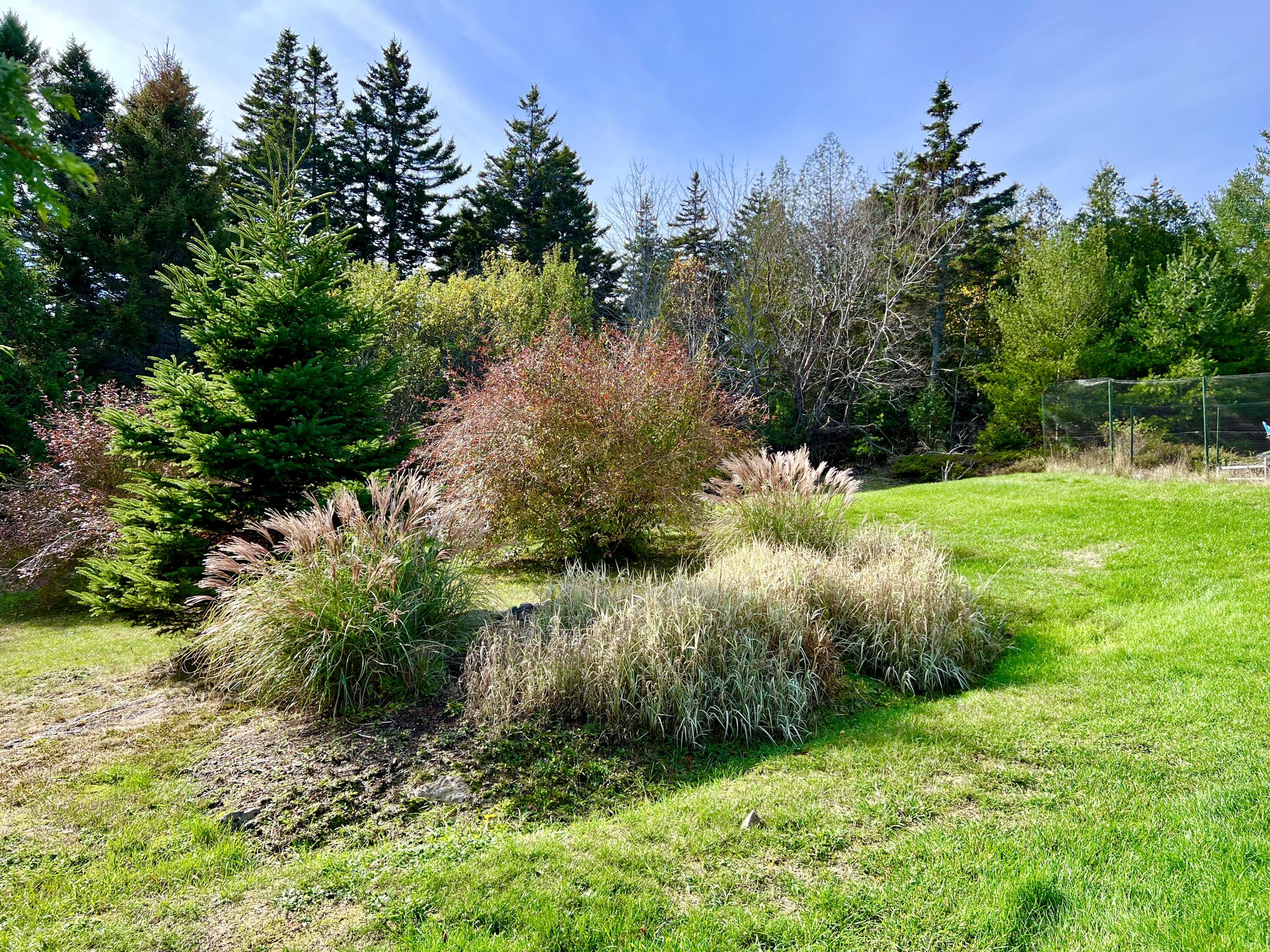 70 Burnt Hill Road Tremont, ME 04653 - Photo 64 of 69 Landscaping