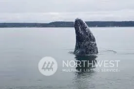 a view of a wooden floor