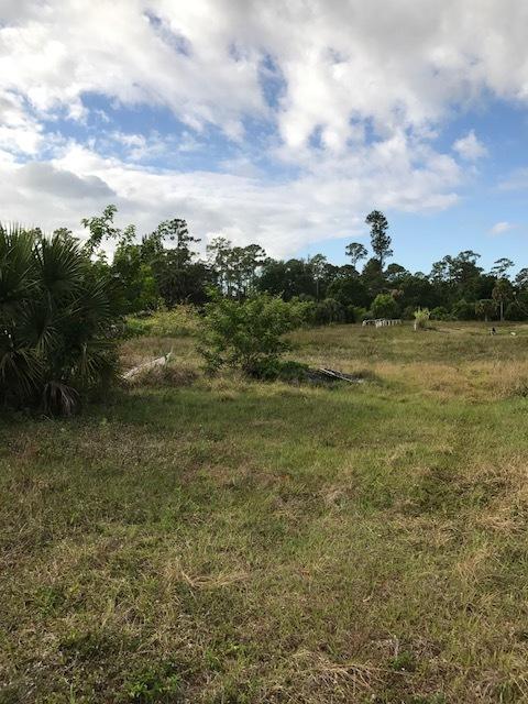 Lot Tripp Lot Tripp Road Loxahatchee, FL 33470 - Photo 5 of 25 IMG_6522