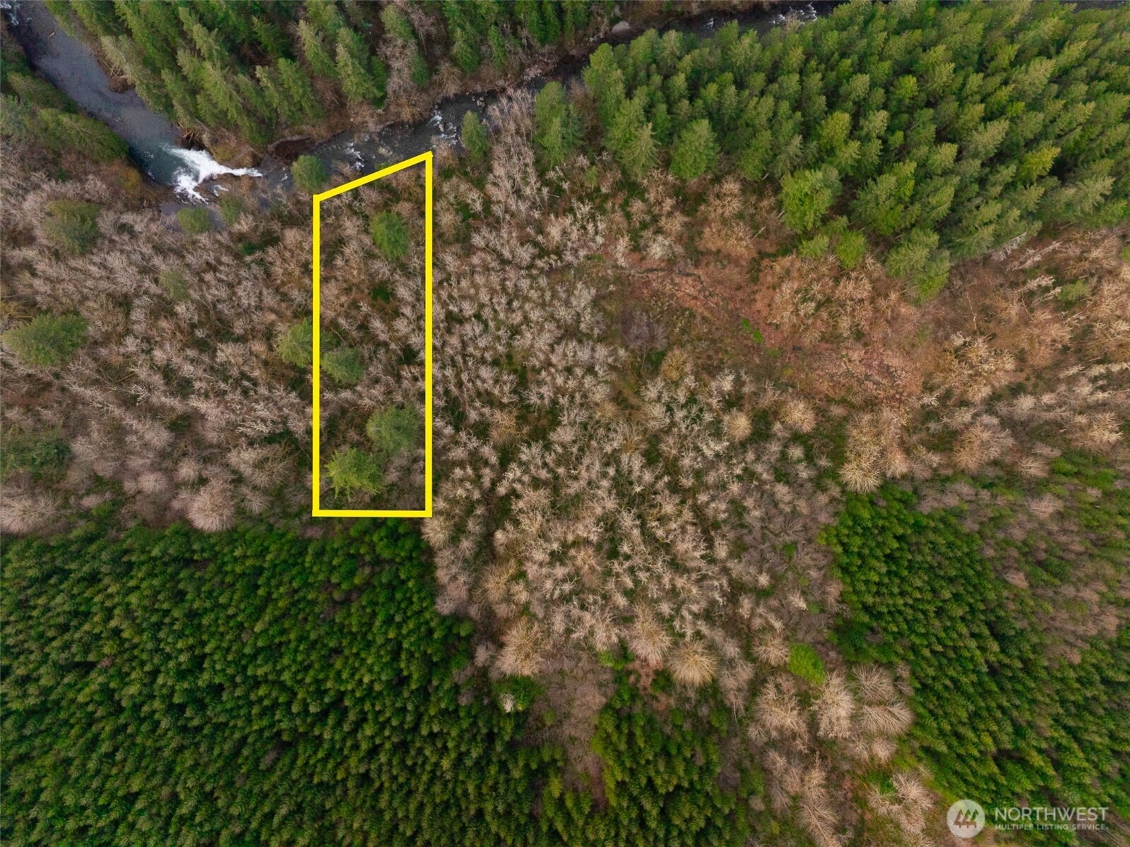 100 L-1100 Road Yacolt, WA 98675 - Photo 14 of 22