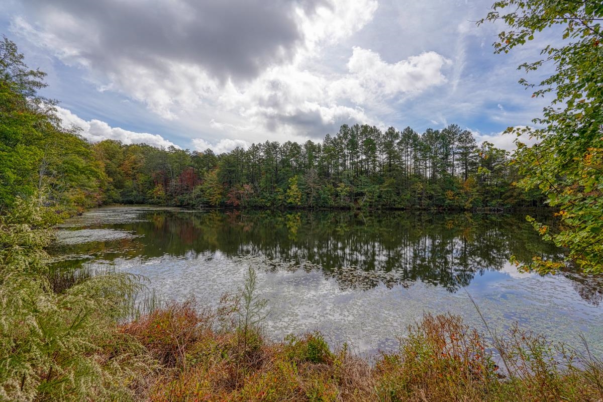 714 State Line Road Gaffney, SC 29341 - Photo 10 of 36