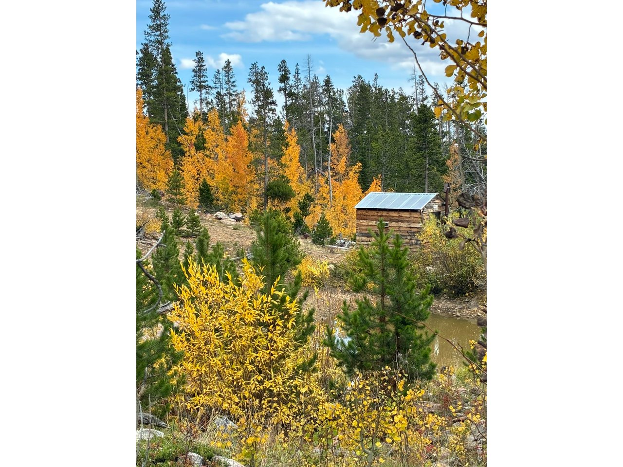540 Elkridge Road Red Feather Lakes, CO 80545 - Photo 8 of 13