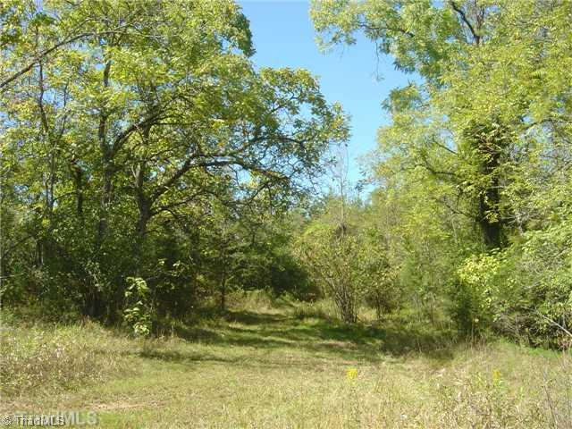 0 Wayne Marshall Road Elkin, NC 28621 - Photo 6 of 9 Other.