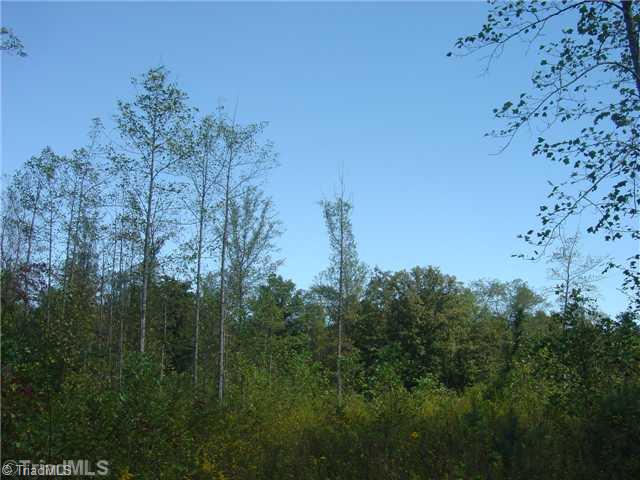 0 Wayne Marshall Road Elkin, NC 28621 - Photo 9 of 9 Other.