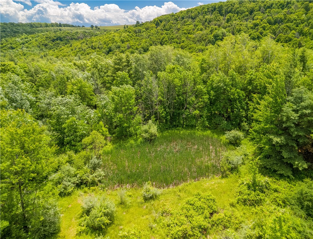 1970 Hornby Road Orange, NY 14812 - Photo 19 of 38