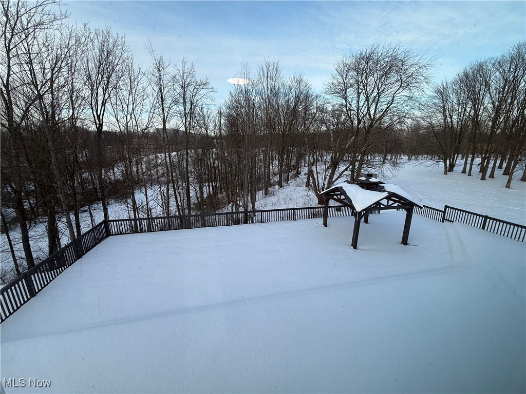 31295 Arthur Road Solon, OH 44139 - Photo 44 of 50 View of yard layered in snow