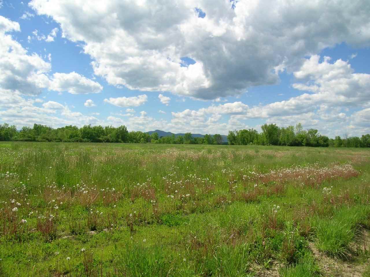 3500 Nortontown Road Addison, VT 05491 - Photo 10 of 17