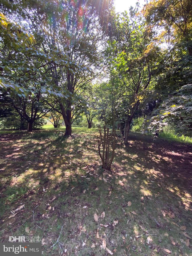 5405 Mountain Road Broad Run, VA 20137 - Photo 11 of 123 Front Garden with Mature Trees