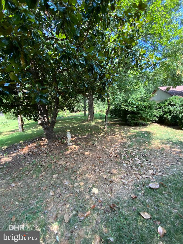 5405 Mountain Road Broad Run, VA 20137 - Photo 12 of 123 Front Garden with Mature Trees