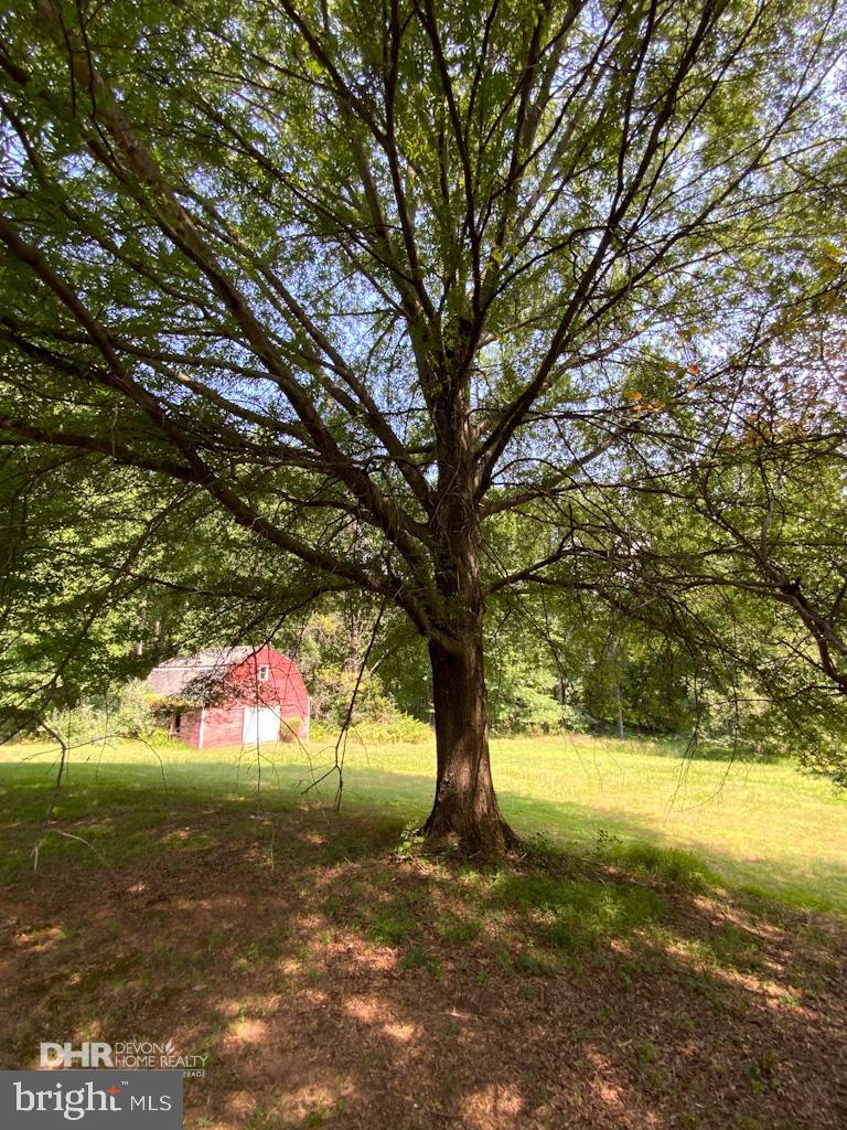5405 Mountain Road Broad Run, VA 20137 - Photo 113 of 123 Storage Barn/Shed.