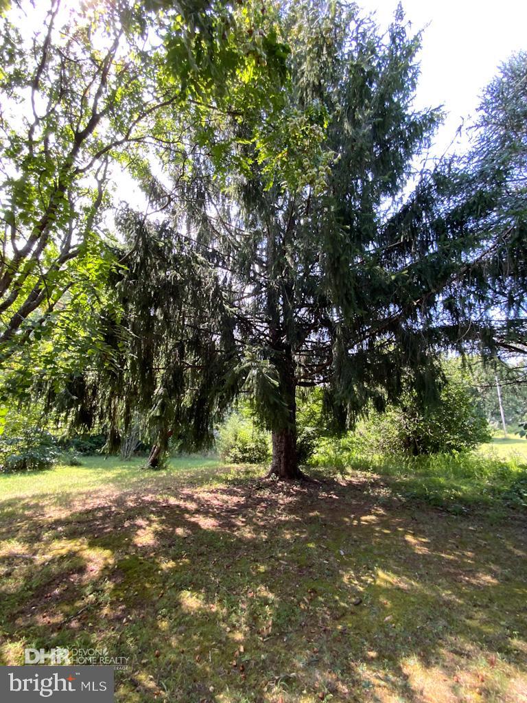 5405 Mountain Road Broad Run, VA 20137 - Photo 13 of 123 Front Garden with Mature Trees