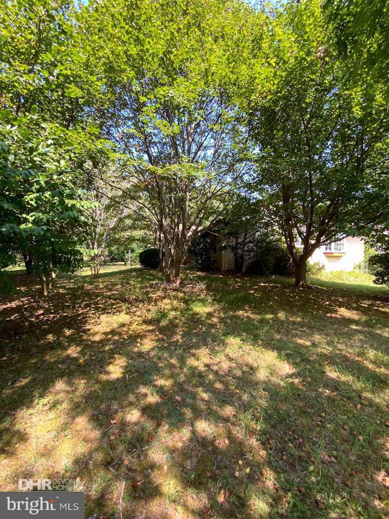 5405 Mountain Road Broad Run, VA 20137 - Photo 14 of 123 Front Garden with Mature Trees
