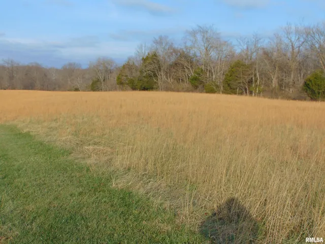 $399,000 | 44 Bud Road, Alto Pass, IL 62905