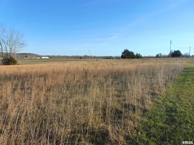 $399,000 | 44 Bud Road, Alto Pass, IL 62905