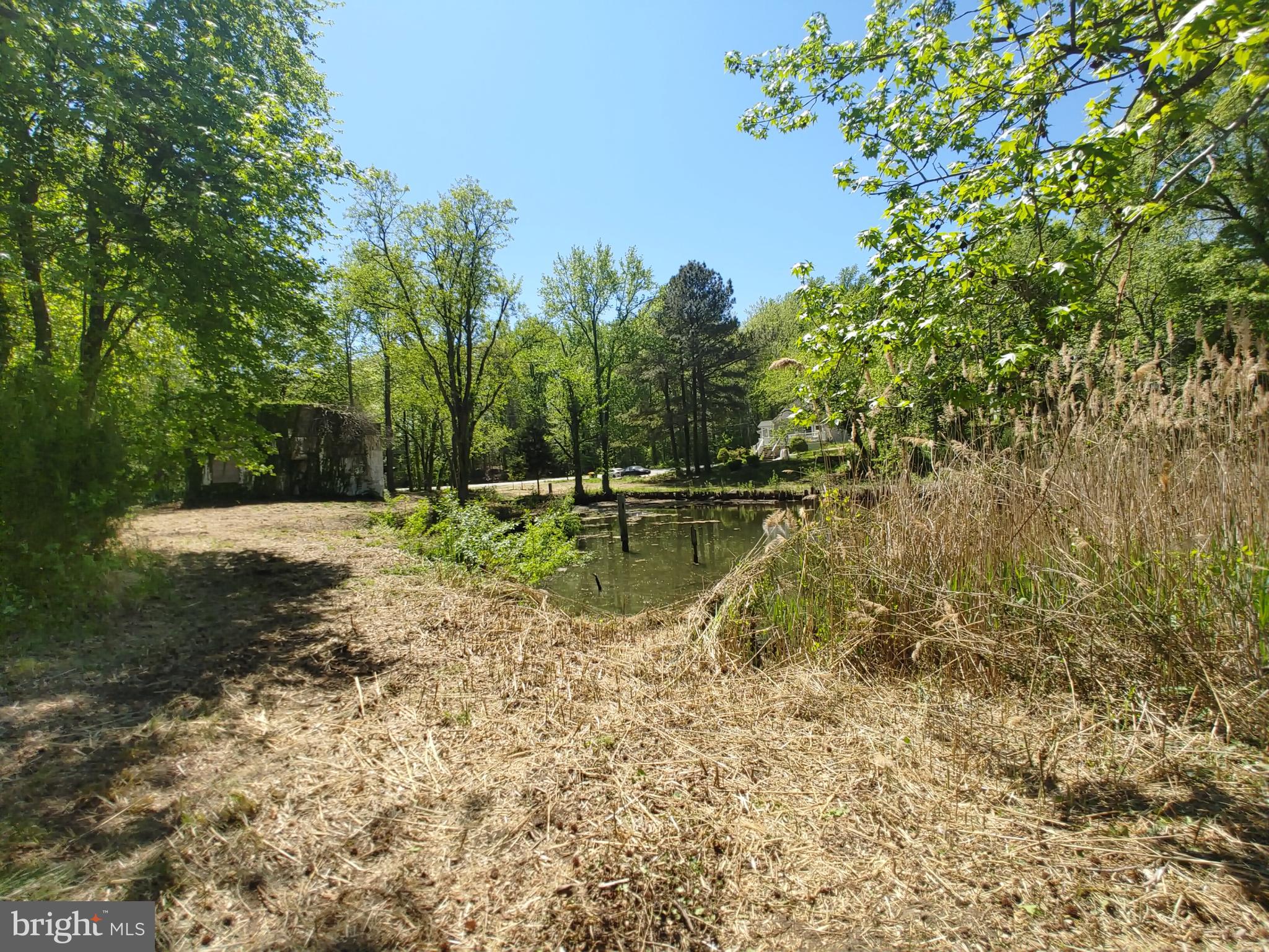 4180 Shoreham Beach Road Edgewater, MD 21037 - Photo 10 of 26 a backyard of a house with lots of green space