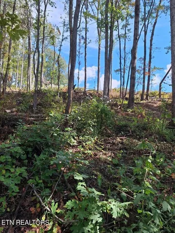 $29,900 | Old Cave Springs Road, Tazewell, TN 37879