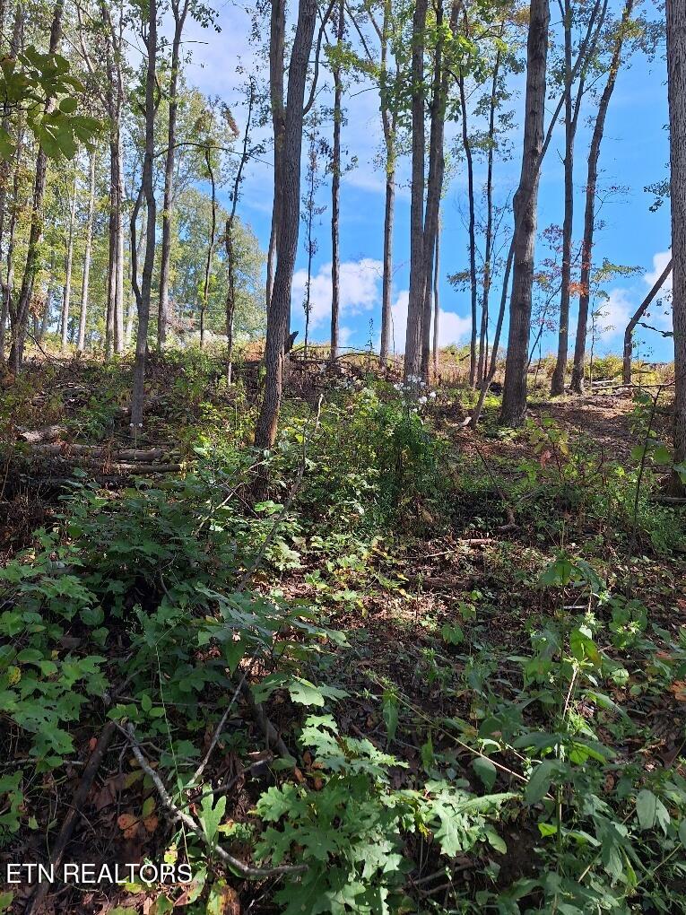 20250926_135749_resized