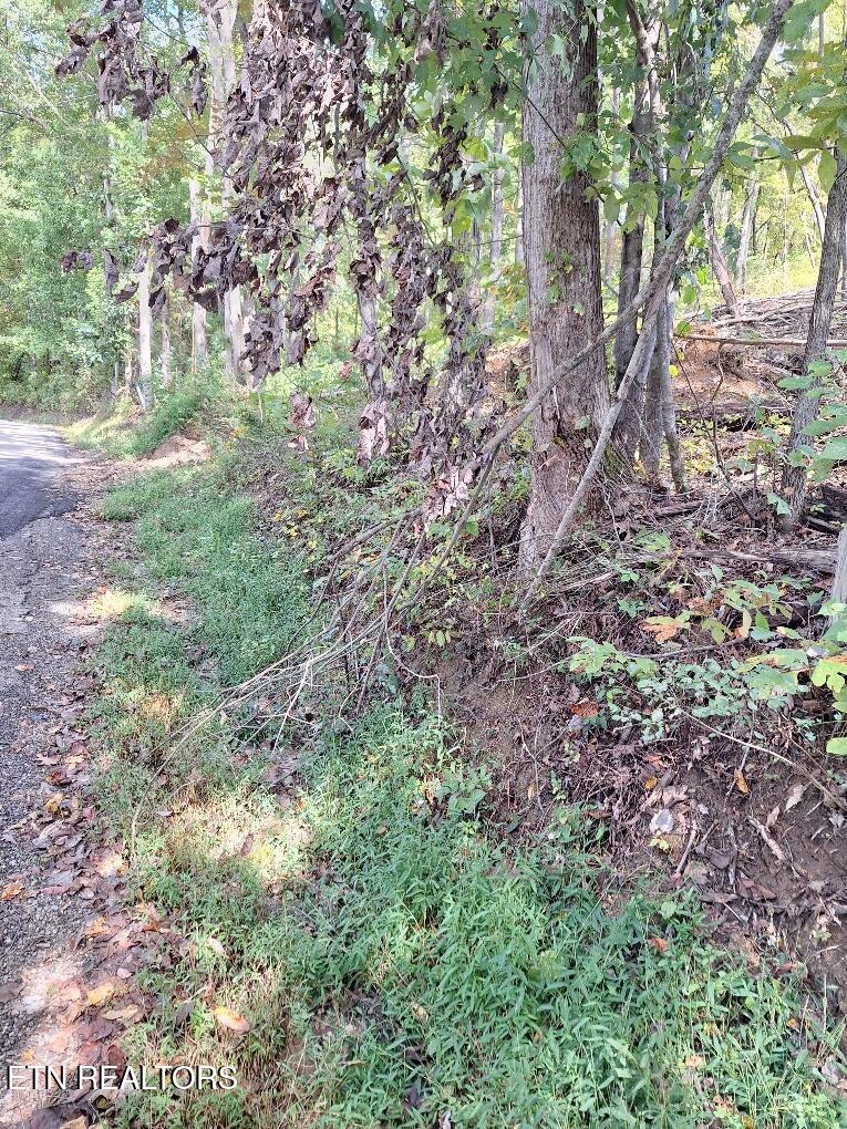 Old Cave Springs Road Tazewell, TN 37879 - Photo 2 of 4 20250926_135758_resized