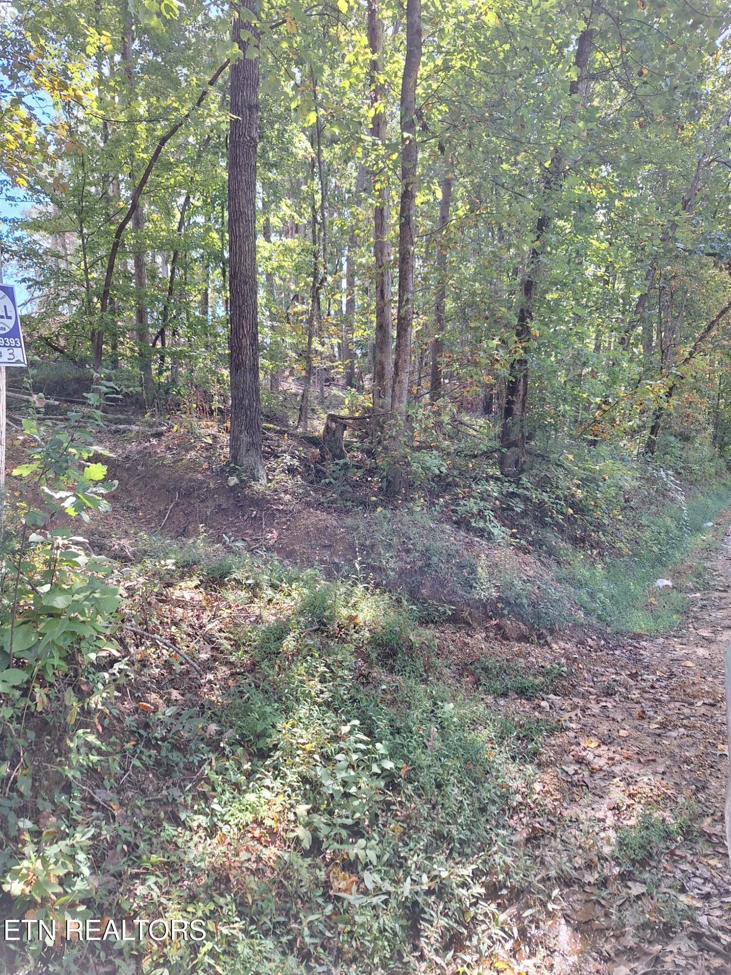 Old Cave Springs Road Tazewell, TN 37879 - Photo 4 of 4 20250926_135826_resized