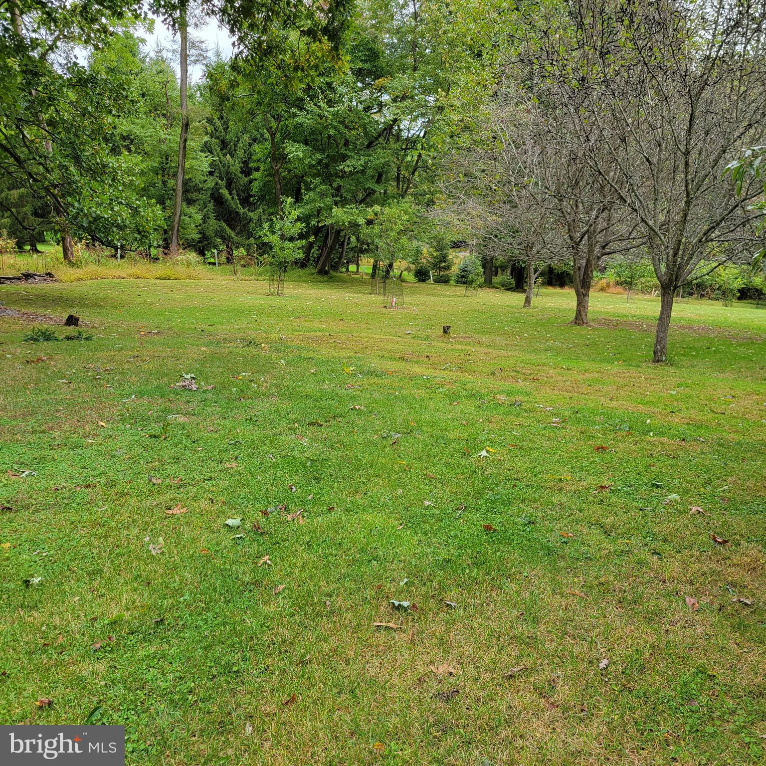 3712 Corls Ridge Road Fayetteville, PA 17222 - Photo 7 of 56
