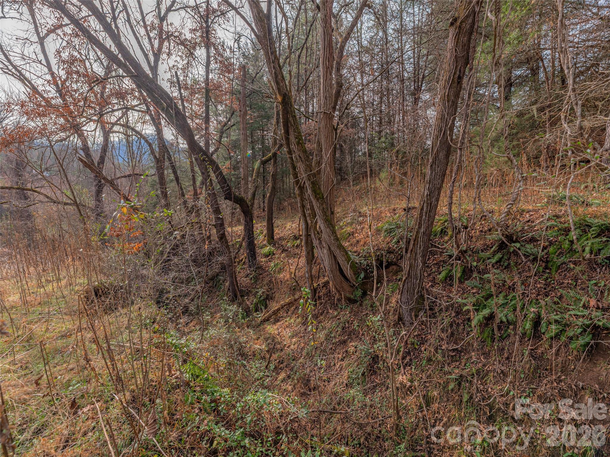 Lot 31 Hooper Cemetery Road Cullowhee, NC 28723 - Photo 16 of 25