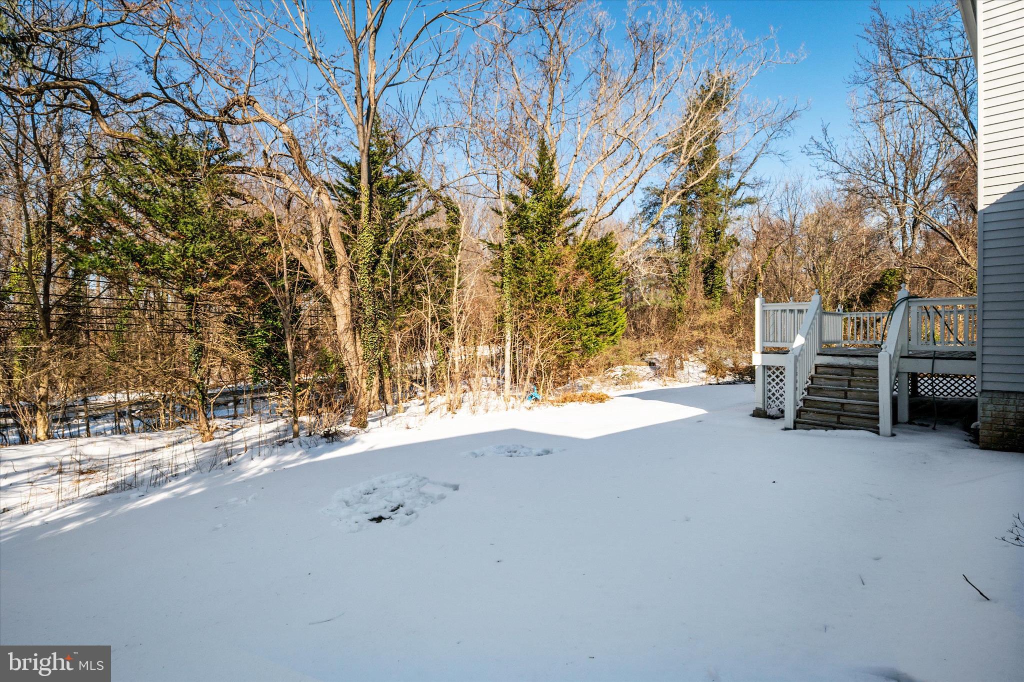 303 Pytchley Run Annapolis, MD 21403 - Photo 37 of 42 a view of backyard with large trees
