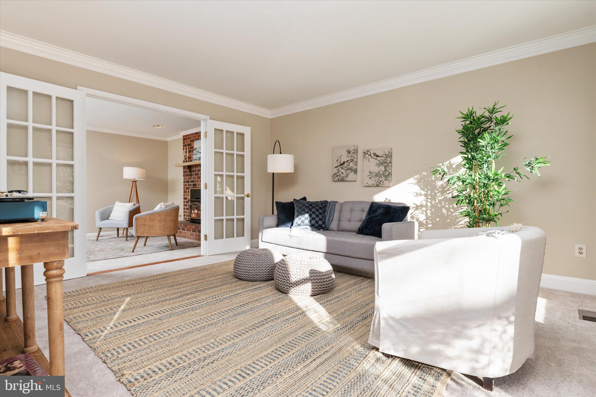 303 Pytchley Run Annapolis, MD 21403 - Photo 6 of 42 a living room with furniture and a potted plant