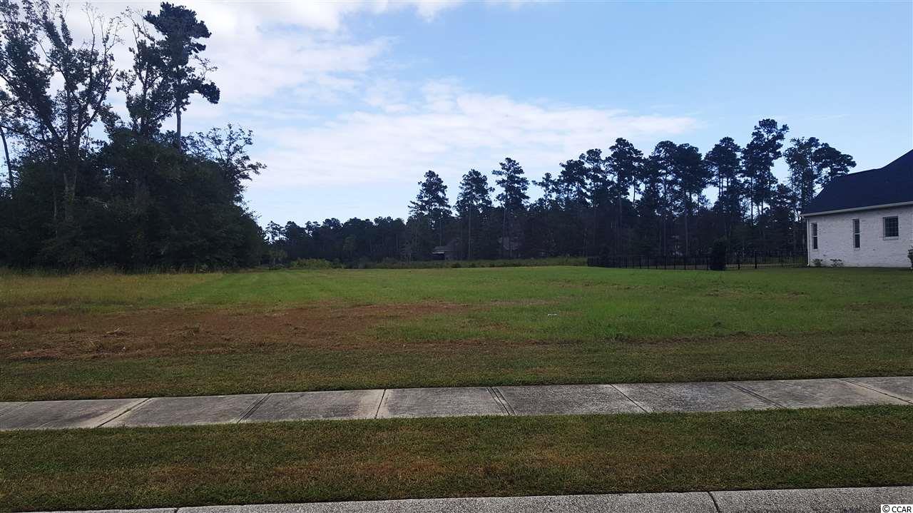 Lot 91 Chamberlin Road Myrtle Beach, SC 29588 - Photo 1 of 22 Gallery Image 1
