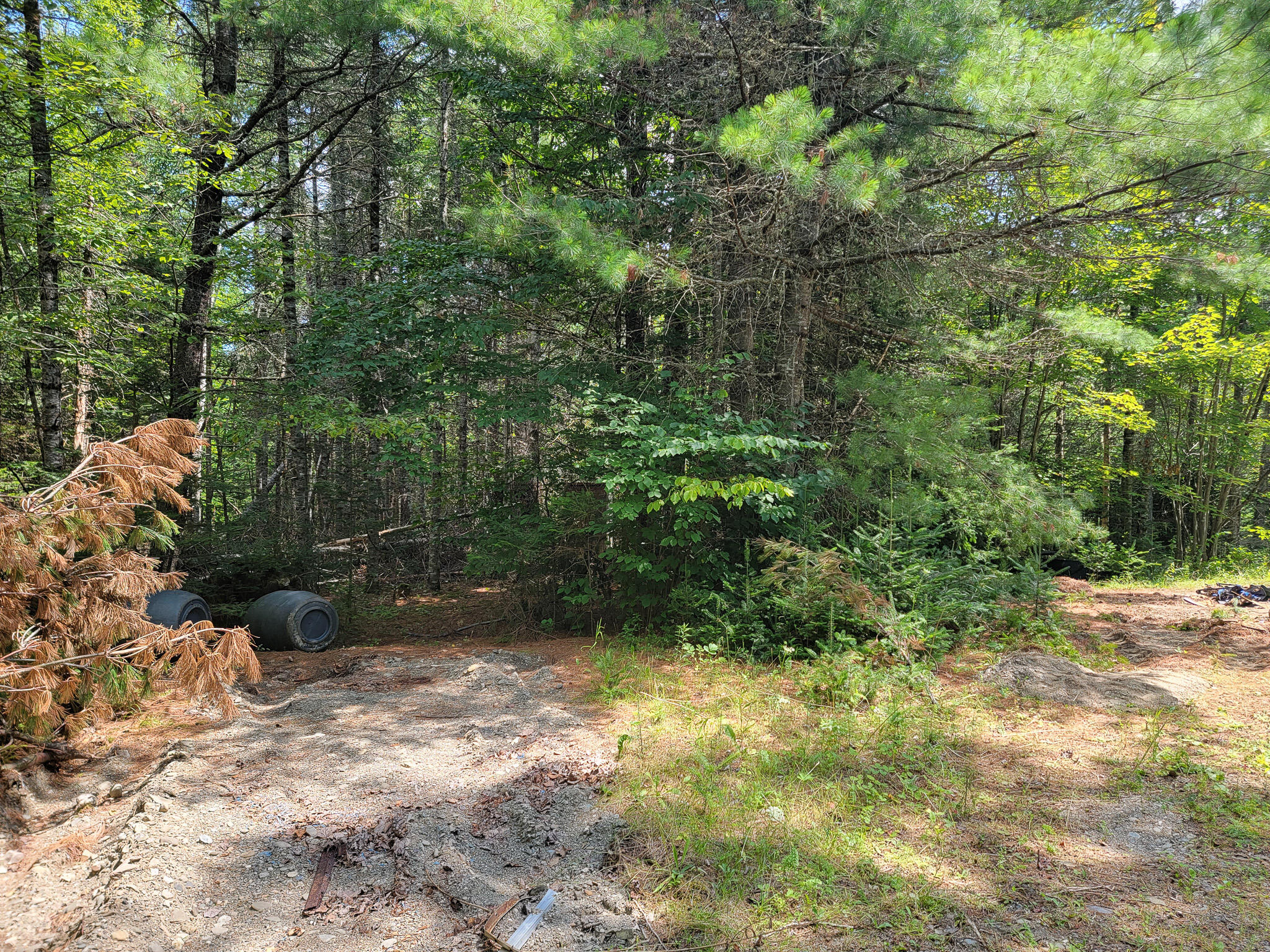 Lot 2 Old Winn Road Springfield, ME 04487 - Photo 10 of 12 20230725_122830