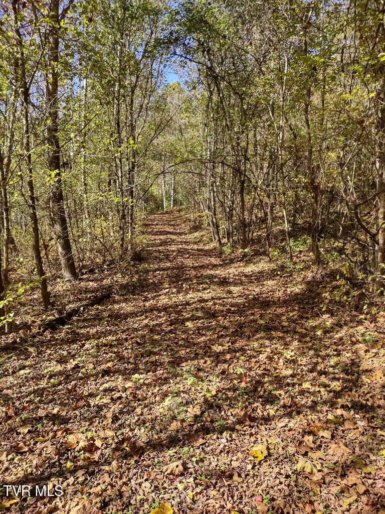 Tbd North Fork River Road, Unit 3 Abingdon, VA 24210 - Photo 5 of 34 *