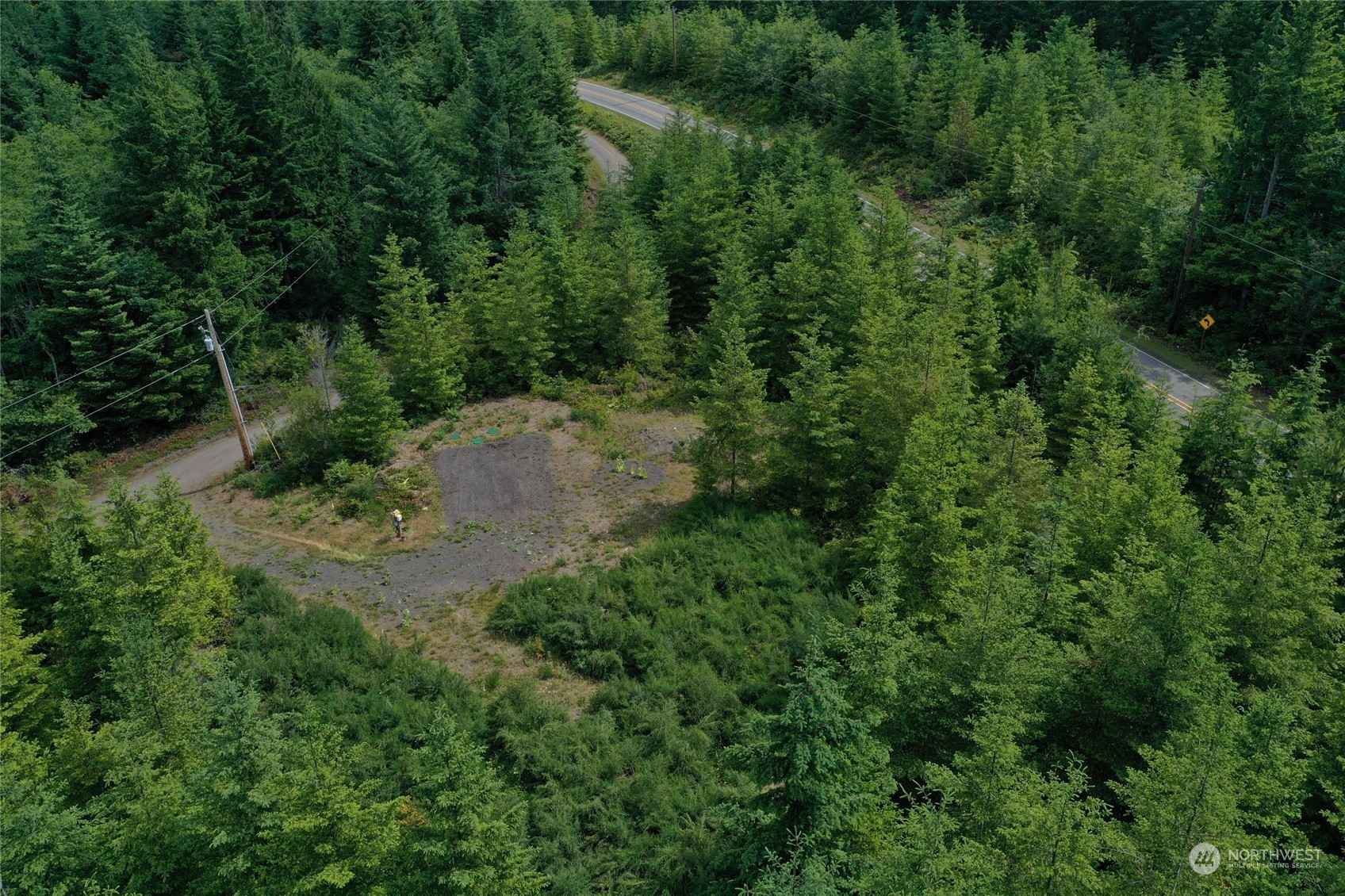 127 Old Coyle Road Quilcene, WA 98376 - Photo 11 of 13 a view of a forest with a street