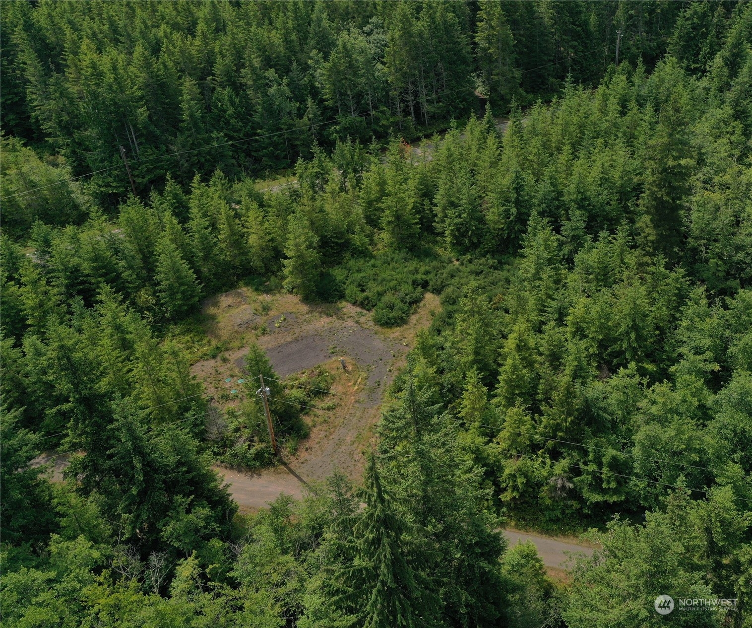 127 Old Coyle Road Quilcene, WA 98376 - Photo 12 of 13 a view of a lush green forest with lots of trees