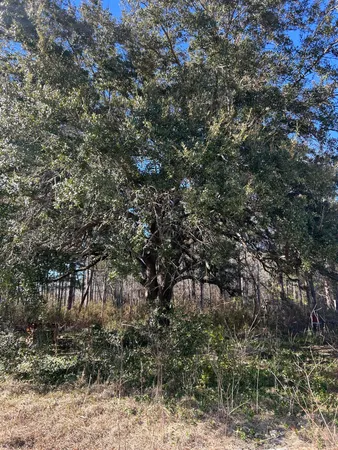 $105,000 | 1381 County Rd S-45-455, Kingstree, SC 29556