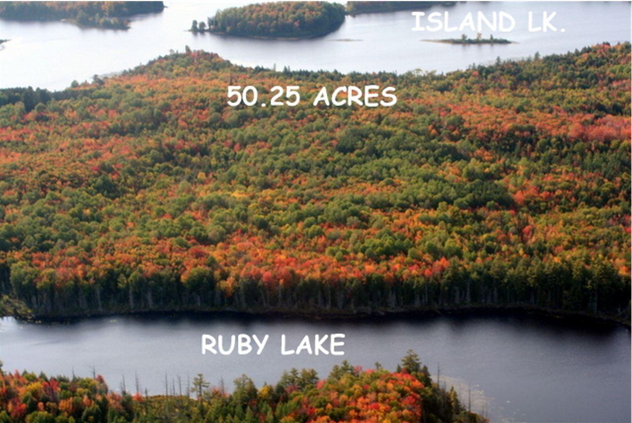 50.4-ac Island Lake Road Hurley, WI 54534 - Photo 10 of 26 Gallery Image 10