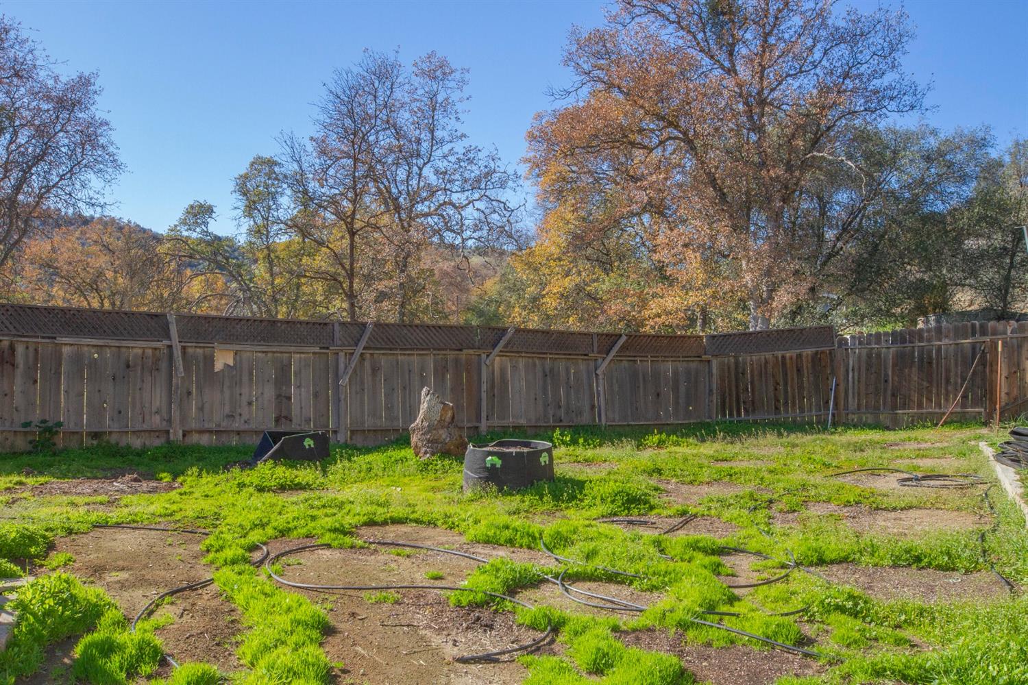 38068 Ruth Hill Road Squaw Valley, CA 93675 - Photo 55 of 77 Gallery Image 55
