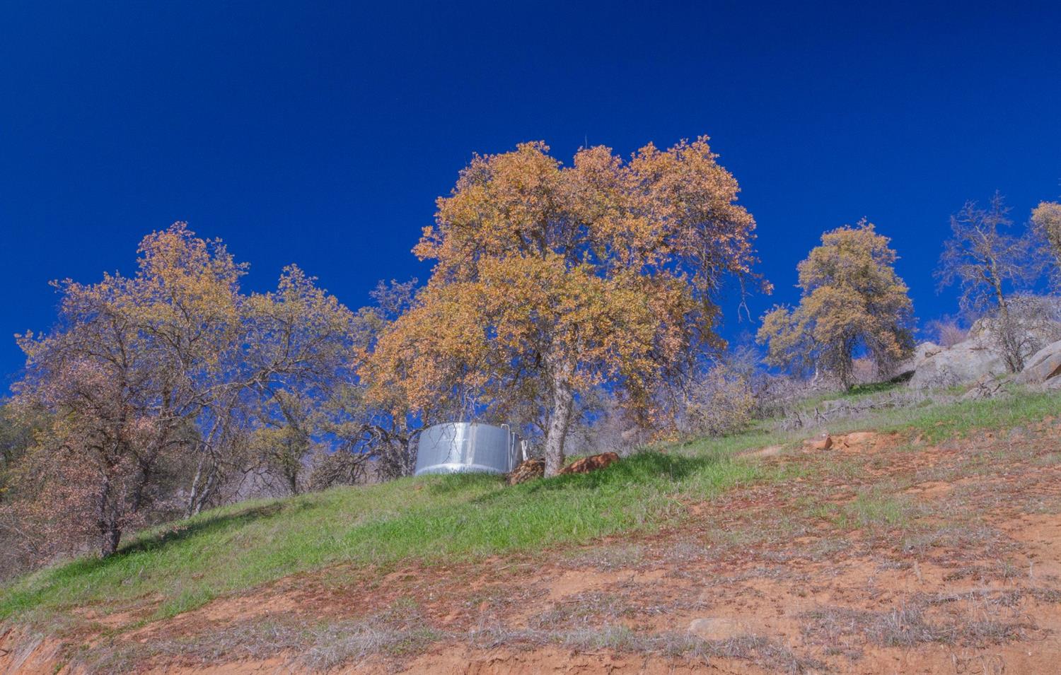 38068 Ruth Hill Road Squaw Valley, CA 93675 - Photo 56 of 77 Gallery Image 56