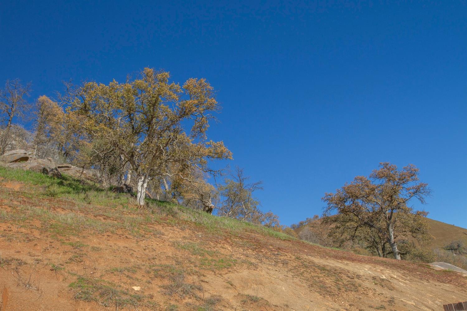 38068 Ruth Hill Road Squaw Valley, CA 93675 - Photo 57 of 77 Gallery Image 57
