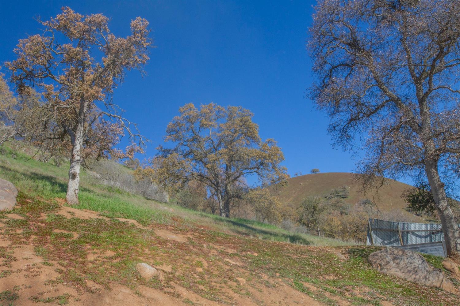 38068 Ruth Hill Road Squaw Valley, CA 93675 - Photo 59 of 77 Gallery Image 59