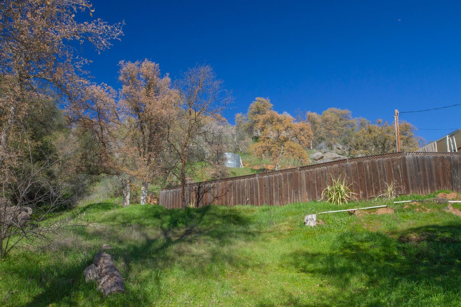38068 Ruth Hill Road Squaw Valley, CA 93675 - Photo 63 of 77 Gallery Image 63