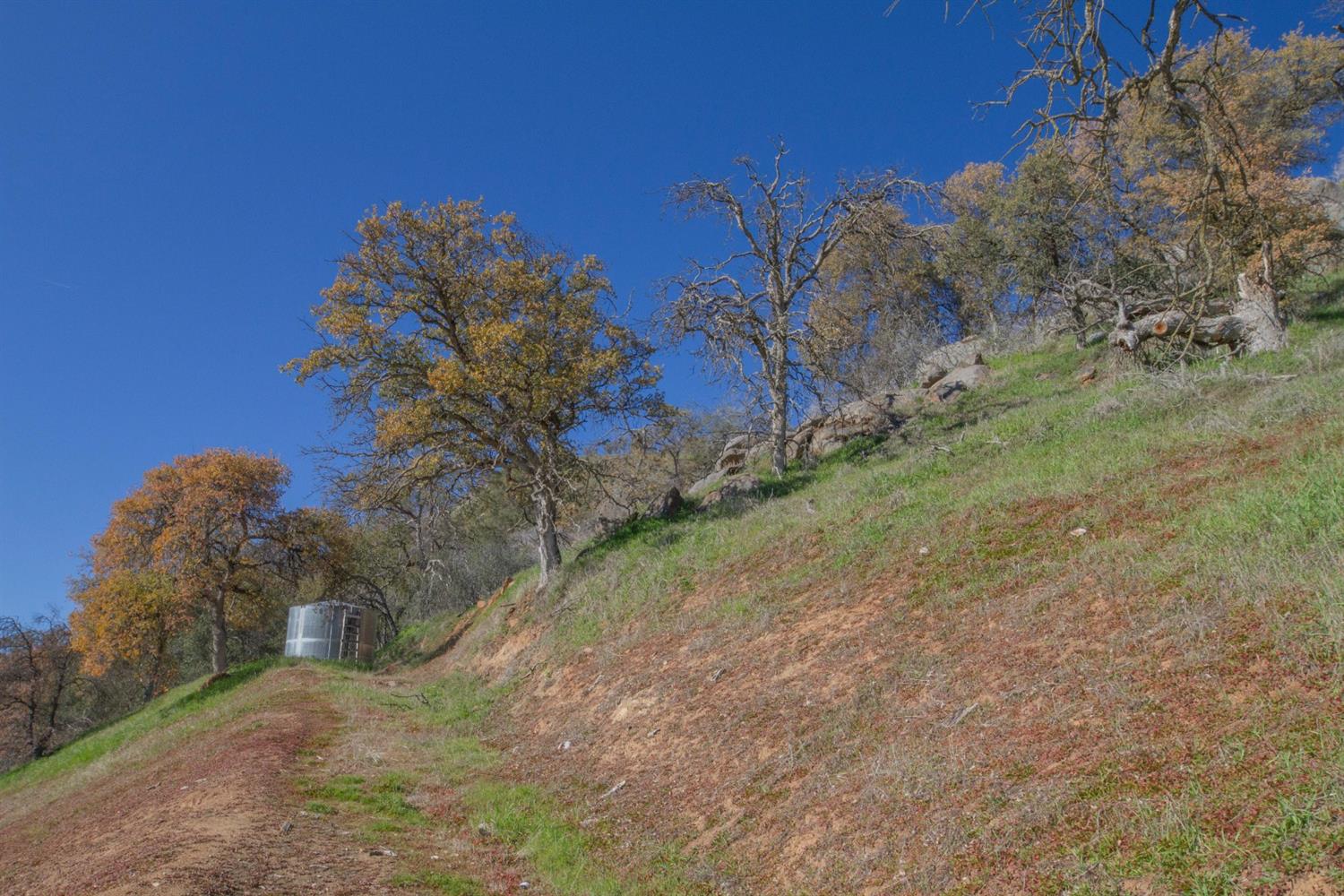 38068 Ruth Hill Road Squaw Valley, CA 93675 - Photo 70 of 77 Gallery Image 70