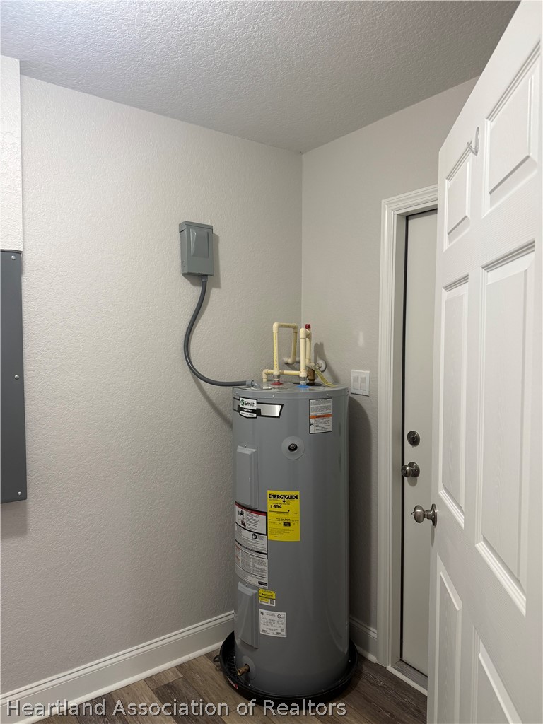 809 Redding Street Zolfo Springs, FL 33890 - Photo 8 of 8 a view of water heater room